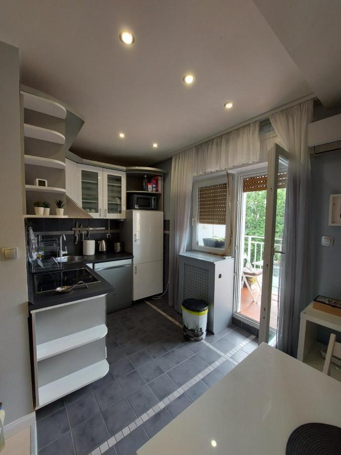 Center Danube Street Apartment Novi Sad Luaran gambar